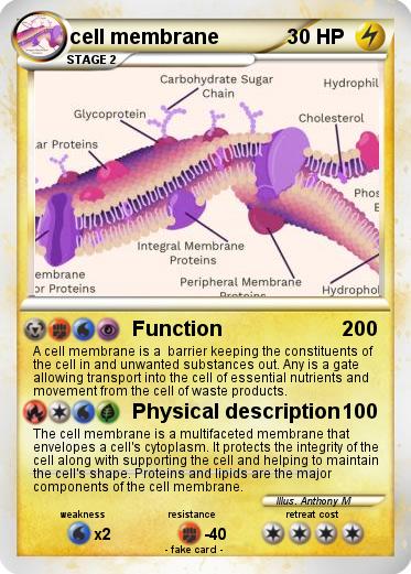 Pokemon cell membrane