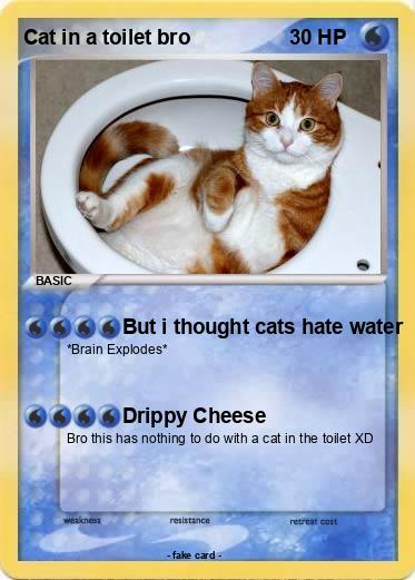 Pokemon Cat in a toilet bro