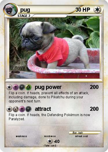 Pokemon pug