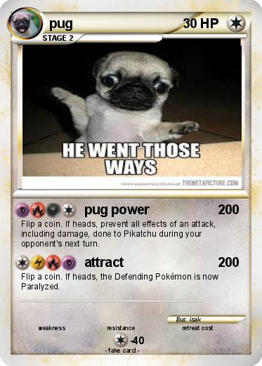 Pokemon pug