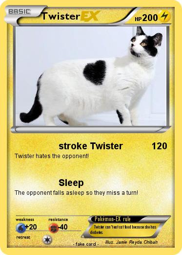Pokemon Twister