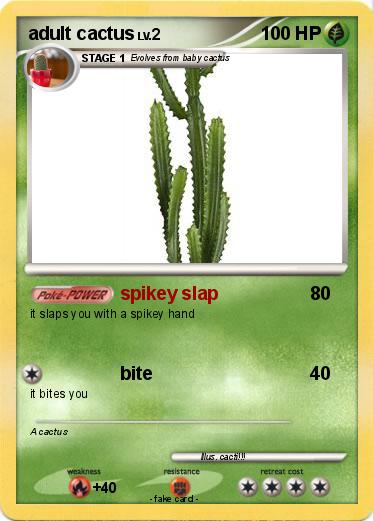 Pokemon adult cactus
