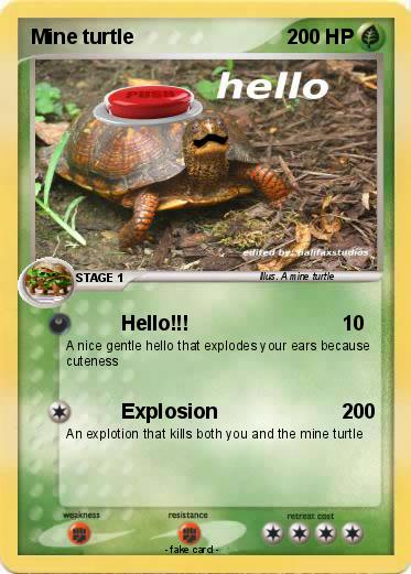 Pokemon Mine turtle