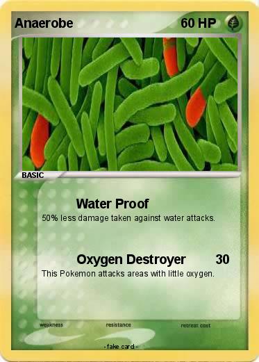 Pokemon Anaerobe
