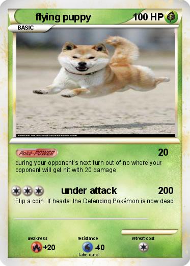 Pokemon flying puppy