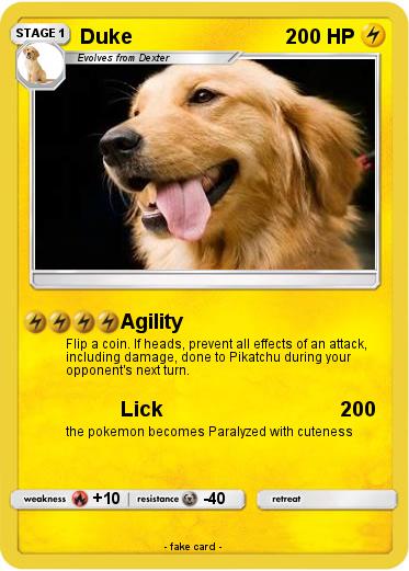 Pokemon Duke