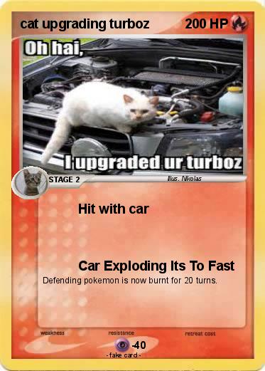 Pokemon cat upgrading turboz