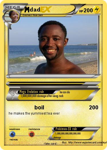Pokemon dad
