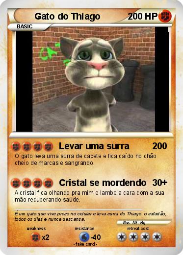 Pokemon Gato do Thiago