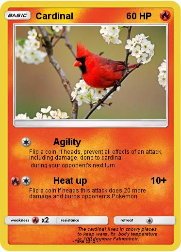 Pokemon Cardinal