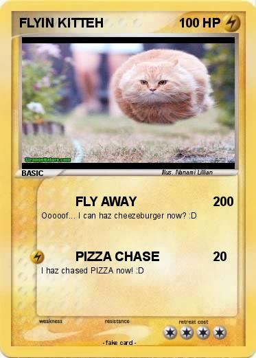 Pokemon FLYIN KITTEH
