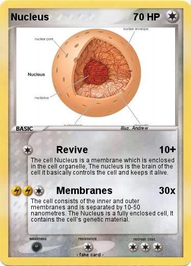 Pokemon Nucleus