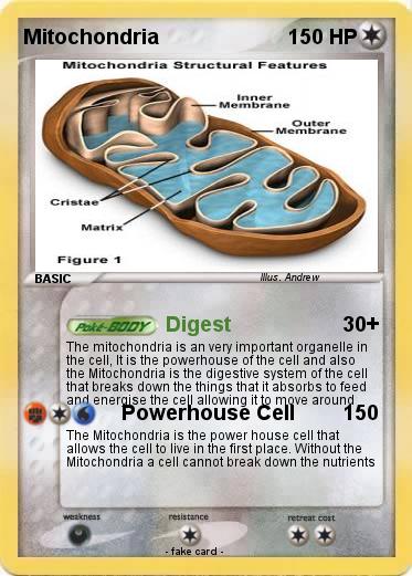 Pokemon Mitochondria