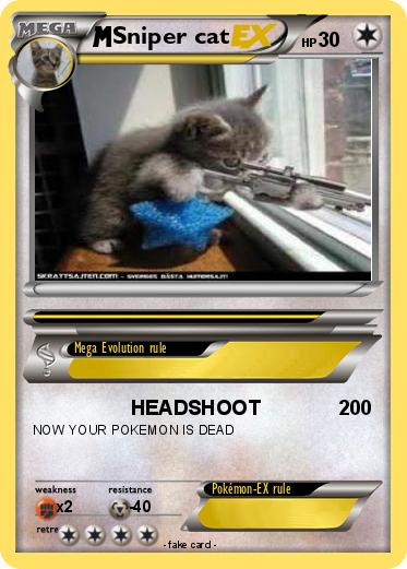 Pokemon Sniper cat