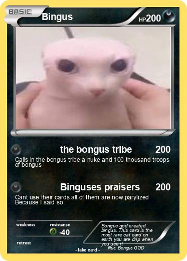 Pokemon Bingus
