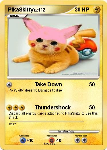 Pokemon PikaSkitty