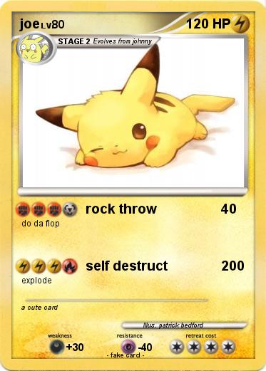 Pokemon joe
