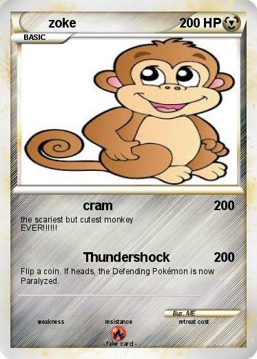 Pokemon zoke