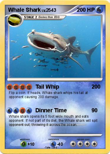 Pokemon Whale Shark