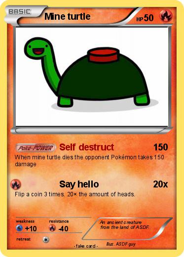 Pokemon Mine turtle