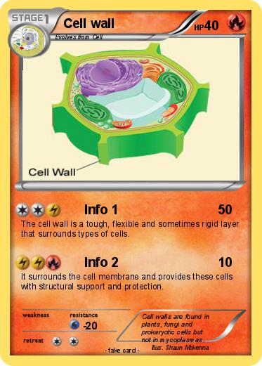 Pokemon Cell wall