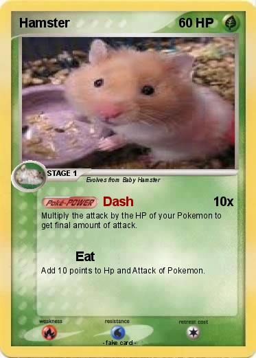 Pokemon Hamster