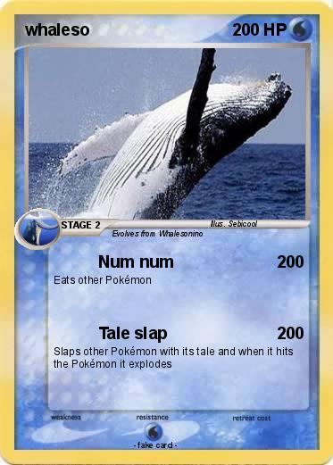 Pokemon whaleso