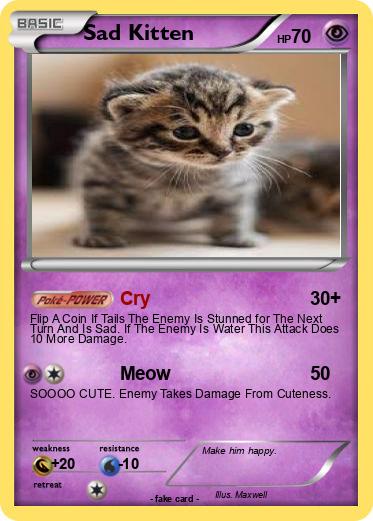 Pokemon Sad Kitten