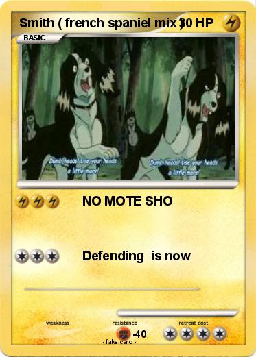 Pokemon Smith ( french spaniel mix )