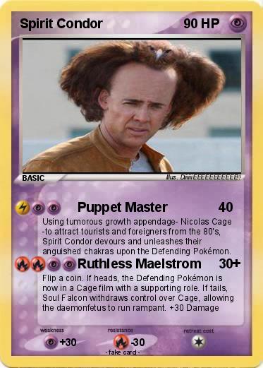 Pokemon Spirit Condor