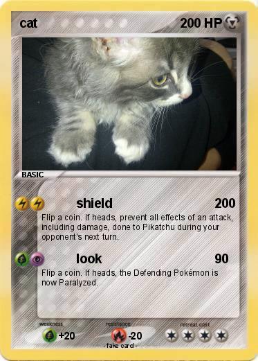 Pokemon cat