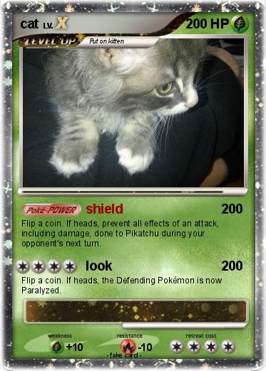 Pokemon cat
