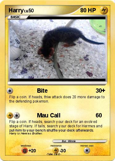 Pokemon Harry