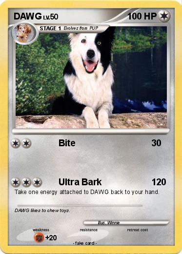 Pokemon DAWG
