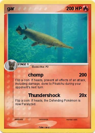 Pokemon gar