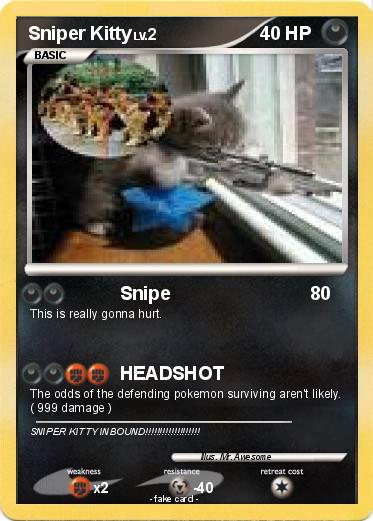 Pokemon Sniper Kitty