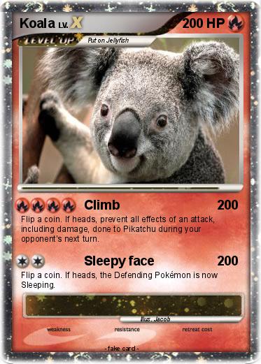 Pokemon Koala