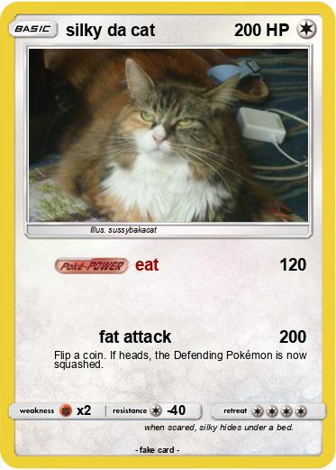 Pokemon silky da cat