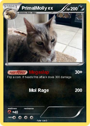 Pokemon PrimalMolly ex