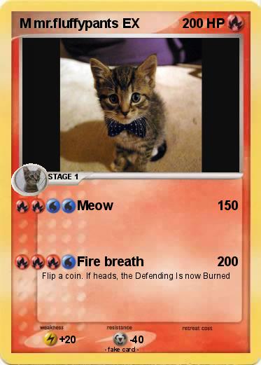 Pokemon M mr.fluffypants EX