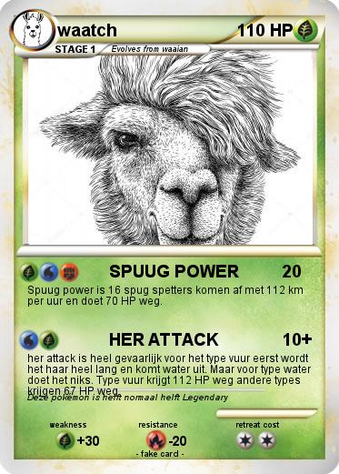 Pokemon waatch