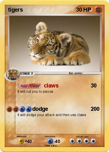 Pokemon tigers