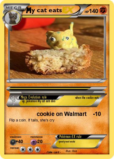 Pokemon y cat eats