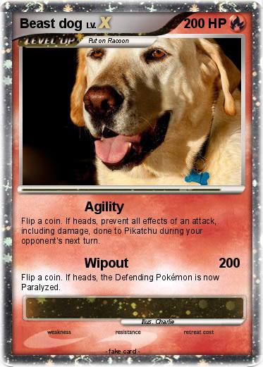 Pokemon Beast dog