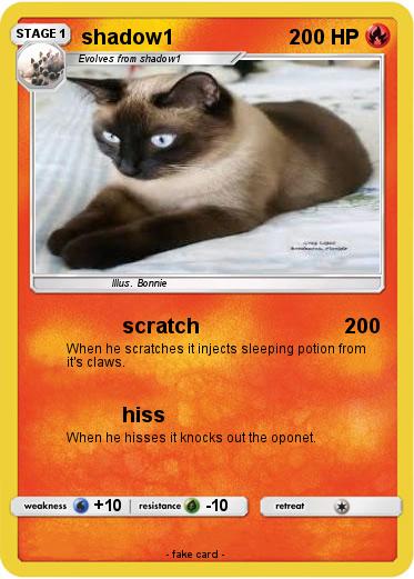 Pokemon shadow1