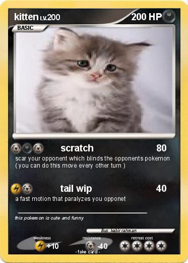 Pokemon kitten