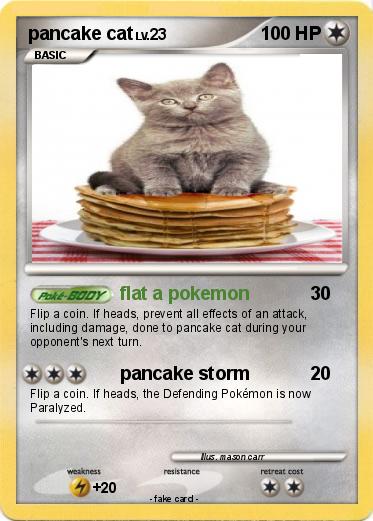 Pokemon pancake cat