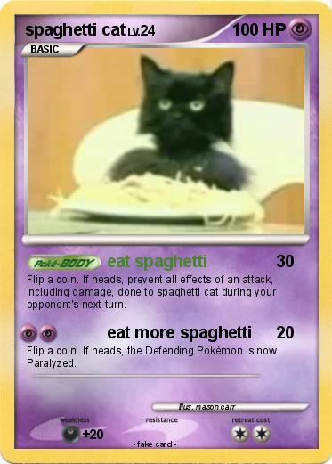 Pokemon spaghetti cat