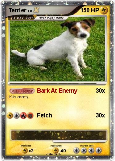 Pokemon Terrier