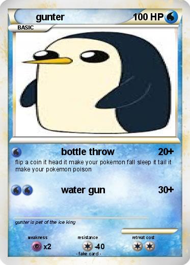 Pokemon gunter